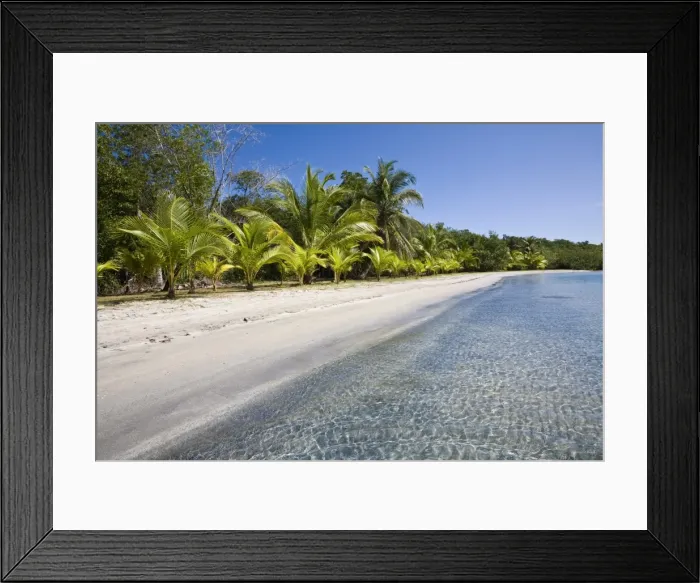 Framed Print : Star Beach, Colon Island (Isla Colon), Bocas del Toro Province, Panama, Central America Framed Print : Star Beach, Colon Island (Isla Colon), Bocas del Toro Province, Panama, Central America