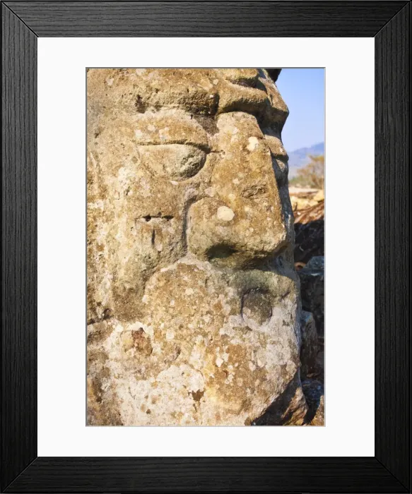 Framed Print : Detail, Copan Ruins, UNESCO World Heritage Site, Honduras, Central America Framed Print : Detail, Copan Ruins, UNESCO World Heritage Site, Honduras, Central America
