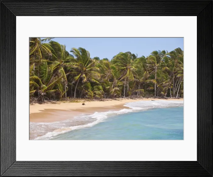 Framed Print : Beach near Garret Point, Little Corn Island, Corn Islands, Nicaragua, Central America Framed Print : Beach near Garret Point, Little Corn Island, Corn Islands, Nicaragua, Central America