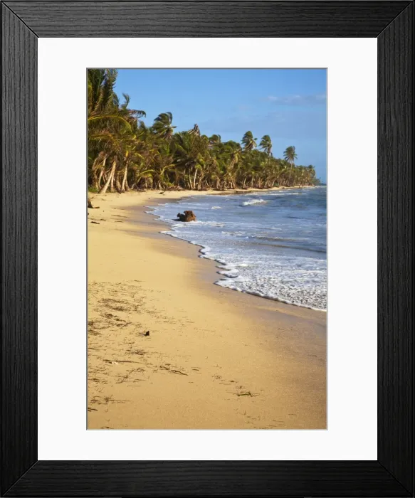 Framed Print : Nicar-812. Iguana Beach, Little Corn Island, Corn Islands, Nicaragua Framed Print : Nicar-812. Iguana Beach, Little Corn Island, Corn Islands, Nicaragua