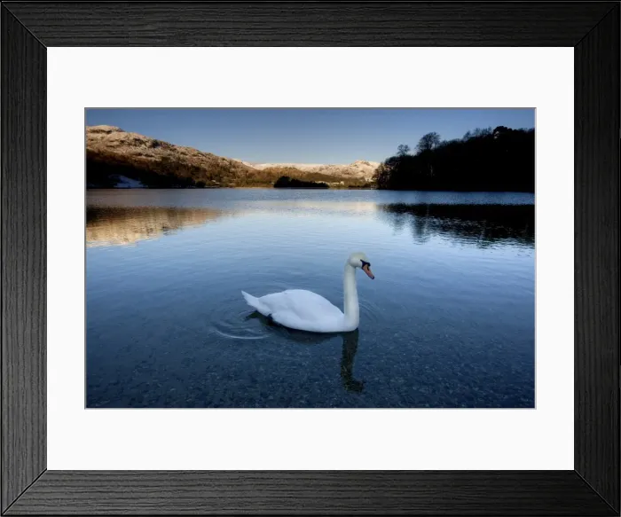 Framed Print : View across Grasmere on snowy winter morning with sunlight on distant fells Framed Print : View across Grasmere on snowy winter morning with sunlight on distant fells