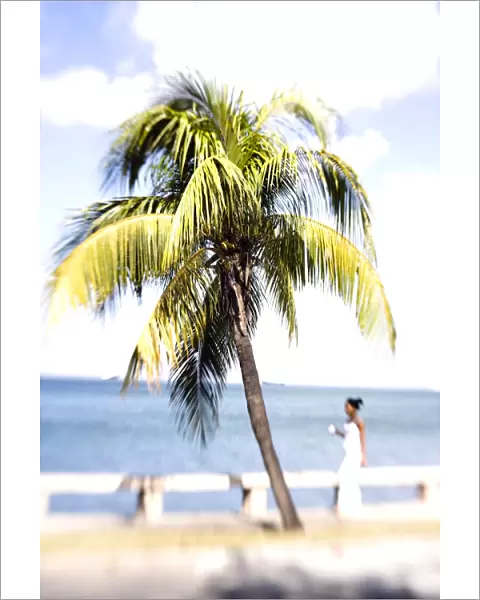 Palm tree and woman in white dress, Punta Gorda, Cienfuegos, Cuba, West Indies