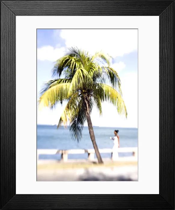 Framed Print : Palm tree and woman in white dress, Punta Gorda, Cienfuegos, Cuba, West Indies Framed Print : Palm tree and woman in white dress, Punta Gorda, Cienfuegos, Cuba, West Indies