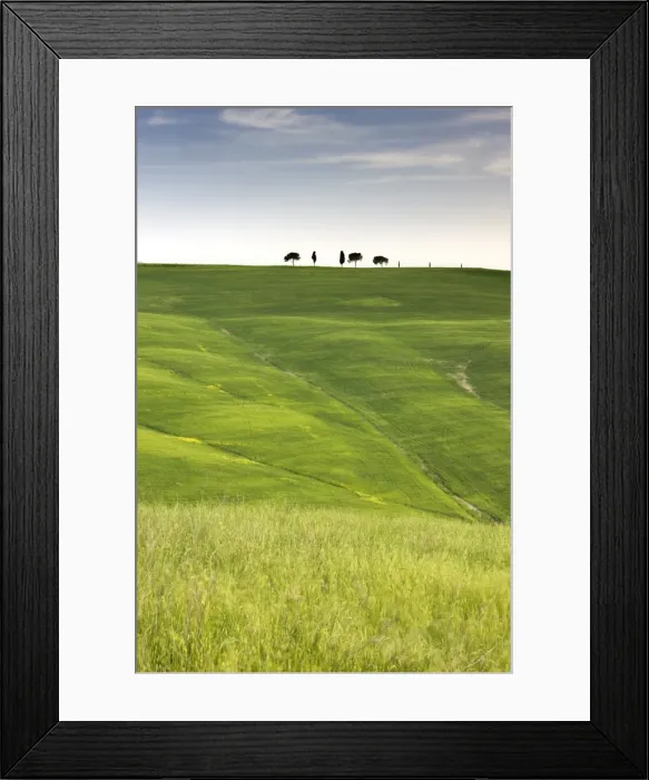 Framed Print : Trees on ridge above field of cereal crops, near San Quirico d Orcia Framed Print : Trees on ridge above field of cereal crops, near San Quirico d Orcia
