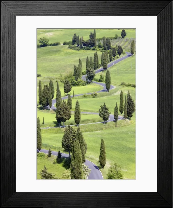Framed Print : Winding country road flanked by cypress trees, near the town of Montechiello Framed Print : Winding country road flanked by cypress trees, near the town of Montechiello
