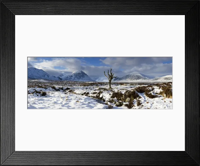 Framed Print : Panoramic view over snow-covered Rannoch Moor towards distant mountains with dead tree bathed in winter light, Highland, Scotland, United Framed Print : Panoramic view over snow-covered Rannoch Moor towards distant mountains with dead tree bathed in winter light, Highland, Scotland, United