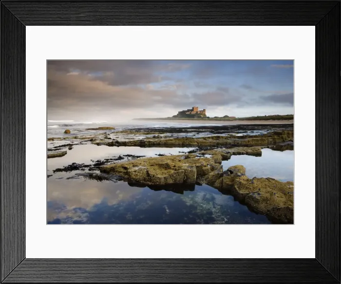Framed Print : Bamburgh Castle bathed in evening light with foreground of barnacle-encrusted rocks Framed Print : Bamburgh Castle bathed in evening light with foreground of barnacle-encrusted rocks
