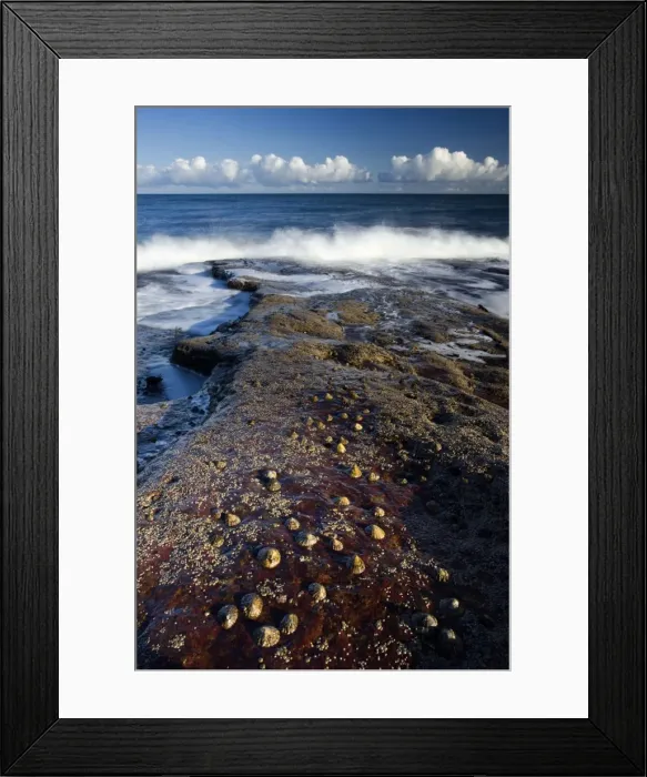 Framed Print : Waves crashing on rocks covered in barnacles, Cullernose Bay, near Alnwick Framed Print : Waves crashing on rocks covered in barnacles, Cullernose Bay, near Alnwick