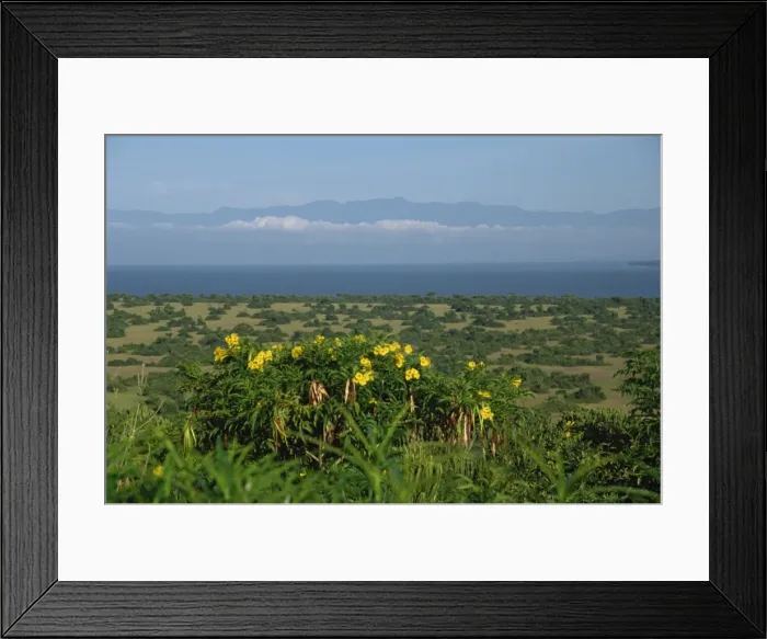 Framed Print : Lake Edward in background, Queen Elizabeth National Park, Uganda, East Africa, Africa Framed Print : Lake Edward in background, Queen Elizabeth National Park, Uganda, East Africa, Africa