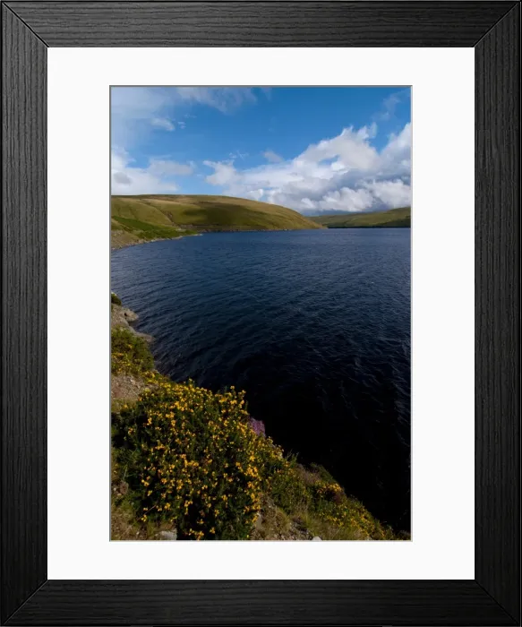 Framed Print : Elan Valley, Powys, Wales, United Kingdom, Europe Framed Print : Elan Valley, Powys, Wales, United Kingdom, Europe