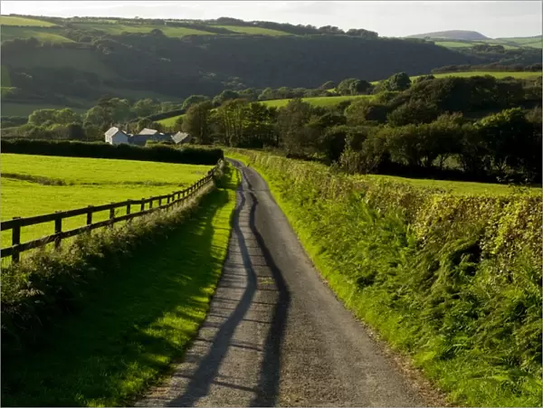 Lane, North Exmoor, Devon, England, United Kingdom, Europe