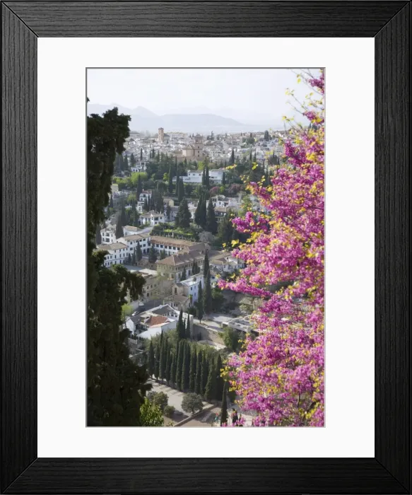 Framed Print : View from gardens of the Generalife to the Albaicin district, Granada, Andalucia Framed Print : View from gardens of the Generalife to the Albaicin district, Granada, Andalucia