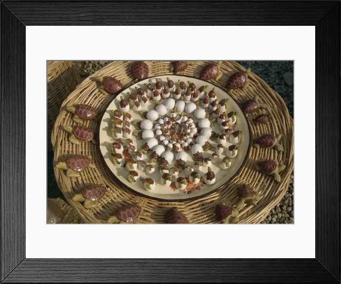 Framed Print : Souvenir turtles for sale near Istuzu beach where loggerhead turtles come ashore to lay eggs Framed Print : Souvenir turtles for sale near Istuzu beach where loggerhead turtles come ashore to lay eggs