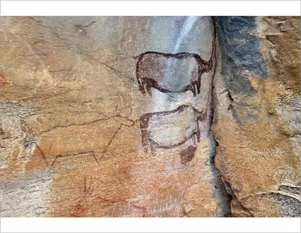 Rock paintings approx. 4000 years old, Tsodilo Hills, UNESCO World Heritage Site