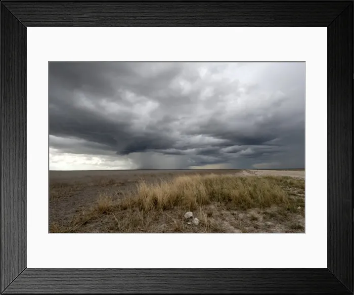 Framed Print : Threatening storm, Etosha National Park, Namibia, Africa Framed Print : Threatening storm, Etosha National Park, Namibia, Africa