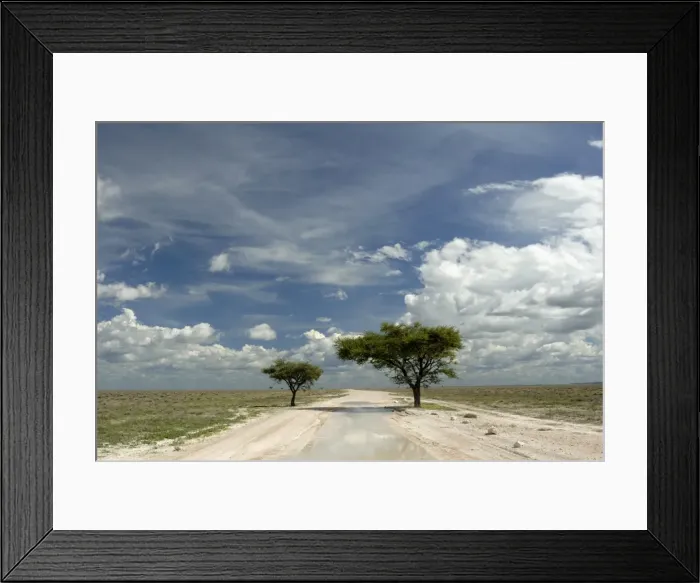 Framed Print : Sand road through the pan, Etosha National Park, Namibia, Africa Framed Print : Sand road through the pan, Etosha National Park, Namibia, Africa