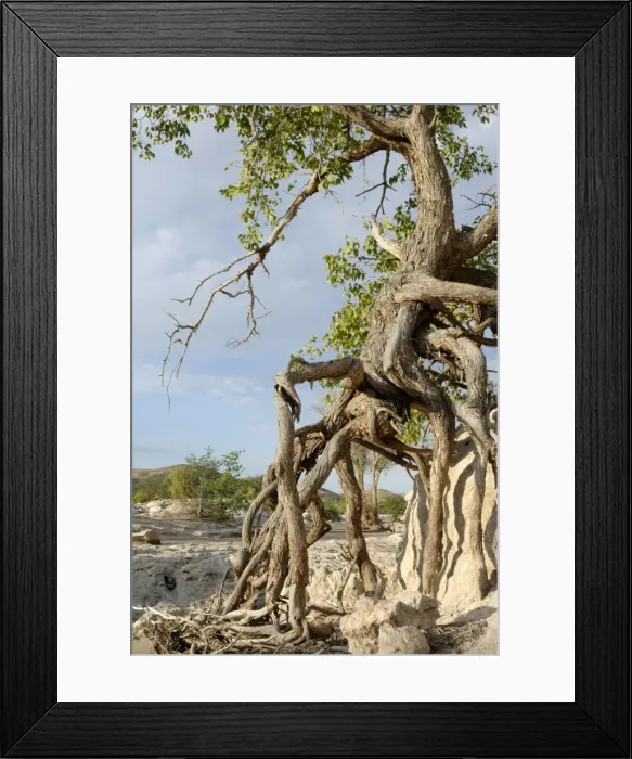 Framed Print : Heavy erosion along Hoanib River, Kaokoland, Namibia, Africa Framed Print : Heavy erosion along Hoanib River, Kaokoland, Namibia, Africa