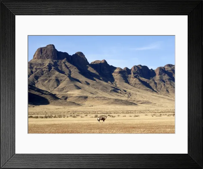 Framed Print : Oryx, Naukluft National Park, Namibia, Africa