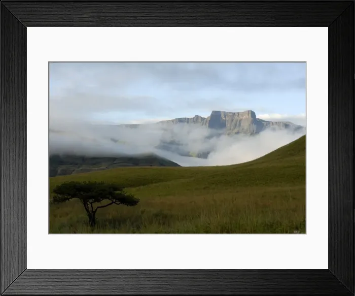 Framed Print : Ampitheatre, Royal National Park, UNESCO World Heritage Site, South Africa, Africa Framed Print : Ampitheatre, Royal National Park, UNESCO World Heritage Site, South Africa, Africa