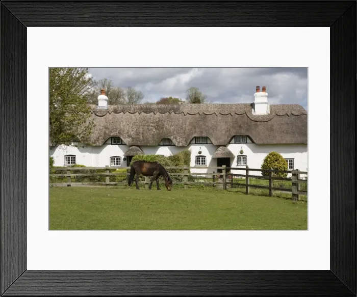 Framed Print : New Forest thatched cottage and pony, Hampshire, England, United Kingdom, Europe Framed Print : New Forest thatched cottage and pony, Hampshire, England, United Kingdom, Europe