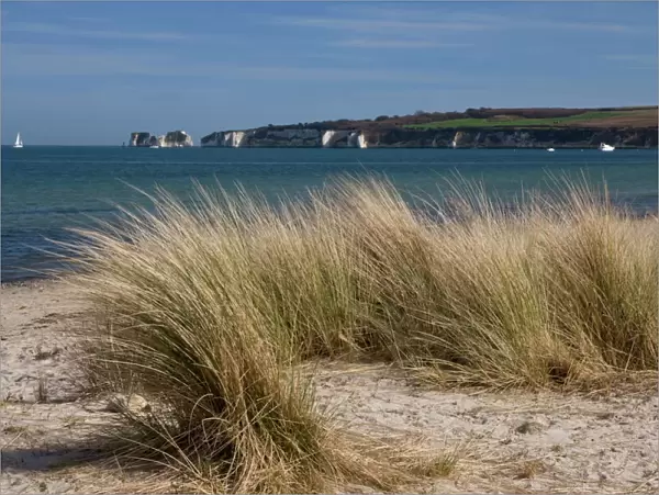 Studland Beach and The Foreland or Hardfast Point, showing Old Harry Rock