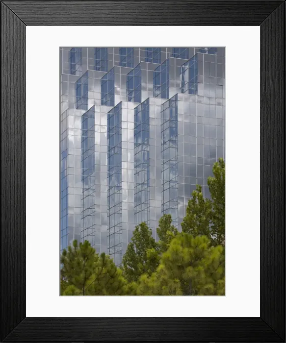Framed Print : Wachovia Building, Orlando, Florida, United States of America, North America Framed Print : Wachovia Building, Orlando, Florida, United States of America, North America