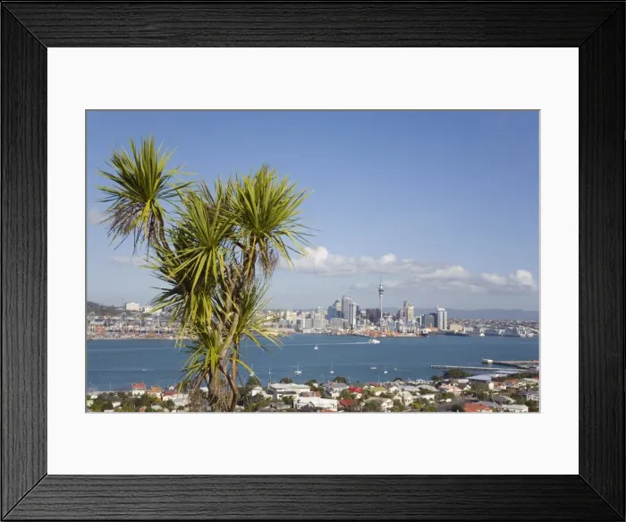 Framed Print : View to eastern city skyline from Mount Victoria, Devonport across Waitemata Harbour Framed Print : View to eastern city skyline from Mount Victoria, Devonport across Waitemata Harbour