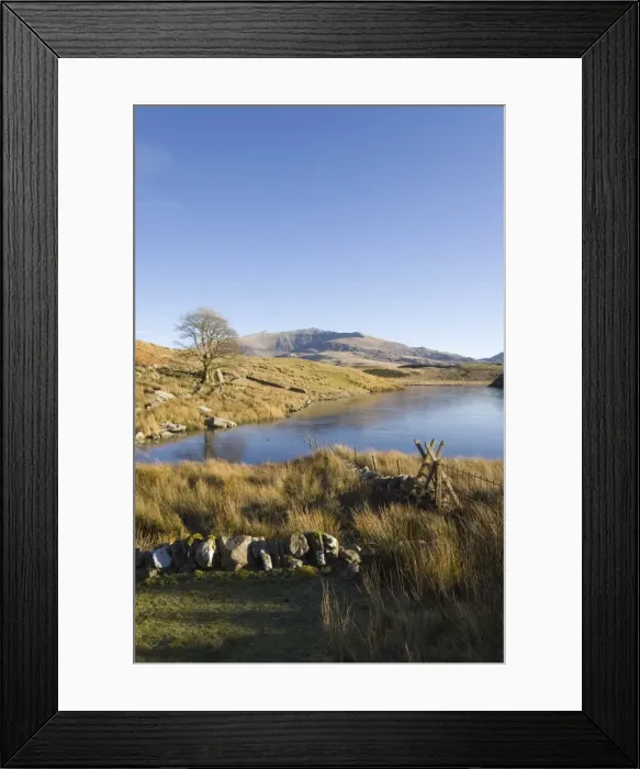 Framed Print : View across Llyn y Dywarchen to Mount Snowdon in Snowdonia National Park Framed Print : View across Llyn y Dywarchen to Mount Snowdon in Snowdonia National Park