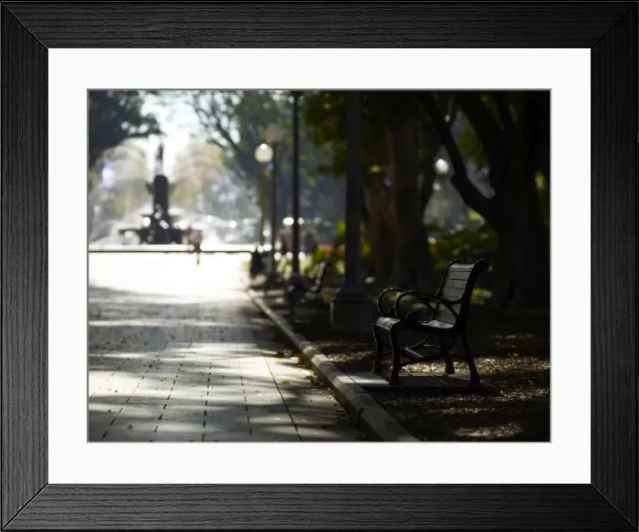Framed Print : Hyde Park, Sydney, New South Wales, Australia, Pacific Framed Print : Hyde Park, Sydney, New South Wales, Australia, Pacific