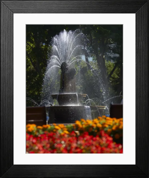 Framed Print : Fountain, Hyde Park, Sydney, New South Wales, Australia, Pacific Framed Print : Fountain, Hyde Park, Sydney, New South Wales, Australia, Pacific