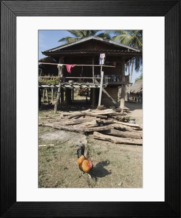 Framed Print : Gom Dturn, a Lao Luong village in the Golden Triangle area of Laos, Indochina Framed Print : Gom Dturn, a Lao Luong village in the Golden Triangle area of Laos, Indochina