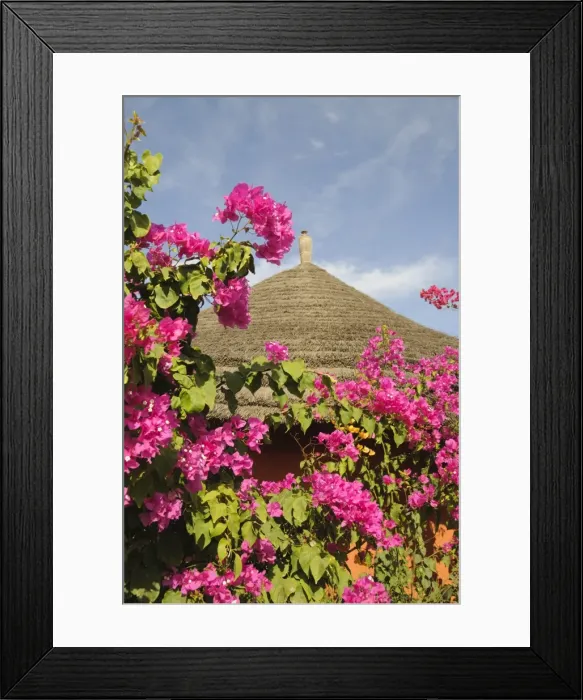 Framed Print : Flowers and hut detail, Sine Saloum Delta, Senegal, West Africa, Africa