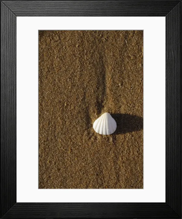 Framed Print : Beach at Saly, Senegal, West Africa, Africa Framed Print : Beach at Saly, Senegal, West Africa, Africa