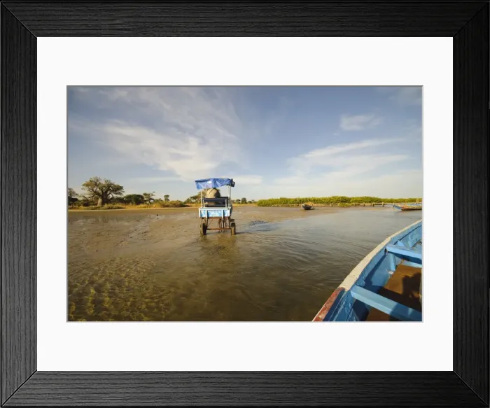 Framed Print : Horse and cart, Sine Saloum Delta, Senegal, West Africa, Africa Framed Print : Horse and cart, Sine Saloum Delta, Senegal, West Africa, Africa