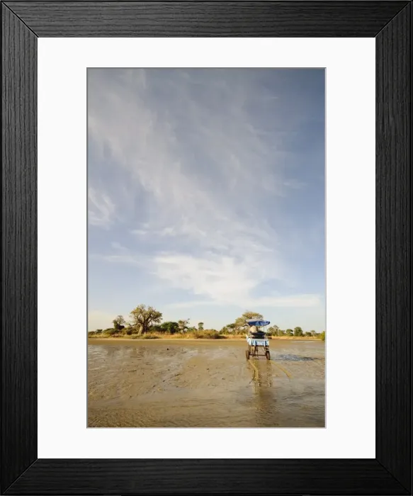 Framed Print : Horse and cart, Sine Saloum Delta, Senegal, West Africa, Africa Framed Print : Horse and cart, Sine Saloum Delta, Senegal, West Africa, Africa