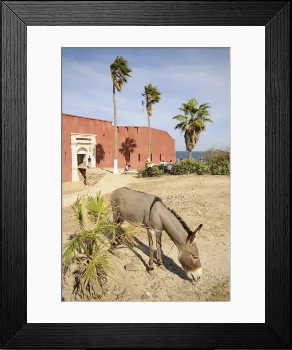 Framed Print : D Estr?? Framed Print : D Estr??