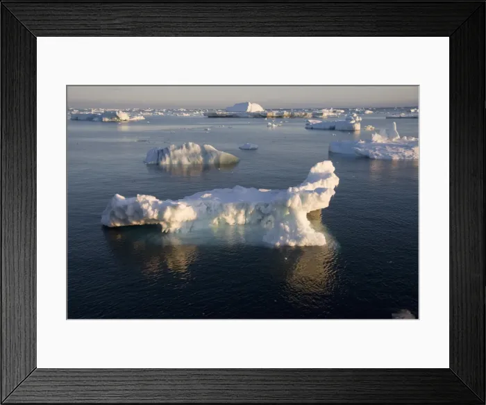 Framed Print : Ice in the Antarctic Sound, The Antarctic Peninsula, Antarctica, Polar Regions Framed Print : Ice in the Antarctic Sound, The Antarctic Peninsula, Antarctica, Polar Regions