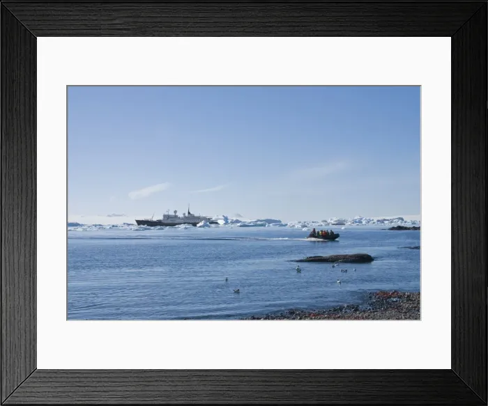 Framed Print : Brown Bluff, Antarctic Peninsula, Antarctica, Polar Regions Framed Print : Brown Bluff, Antarctic Peninsula, Antarctica, Polar Regions