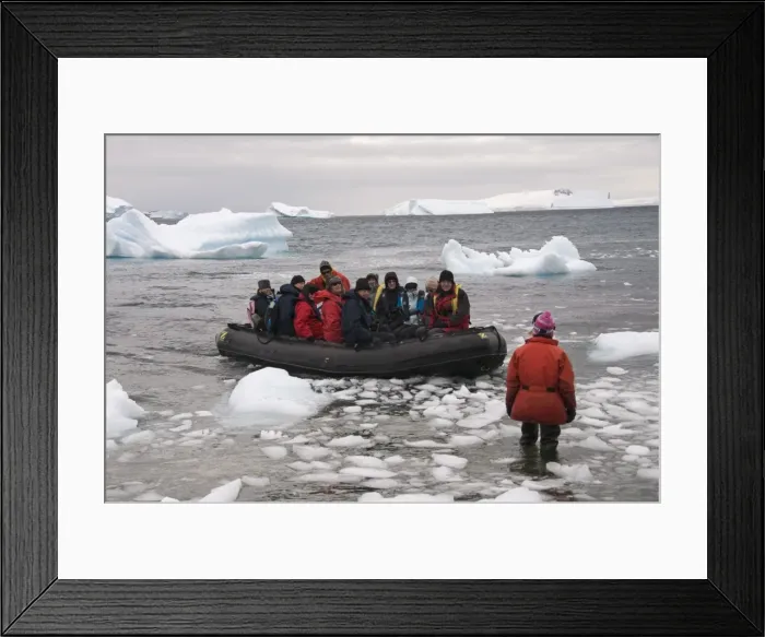 Framed Print : Cuverville Island, Antarctic Peninsula, Antarctica, Polar Regions Framed Print : Cuverville Island, Antarctic Peninsula, Antarctica, Polar Regions