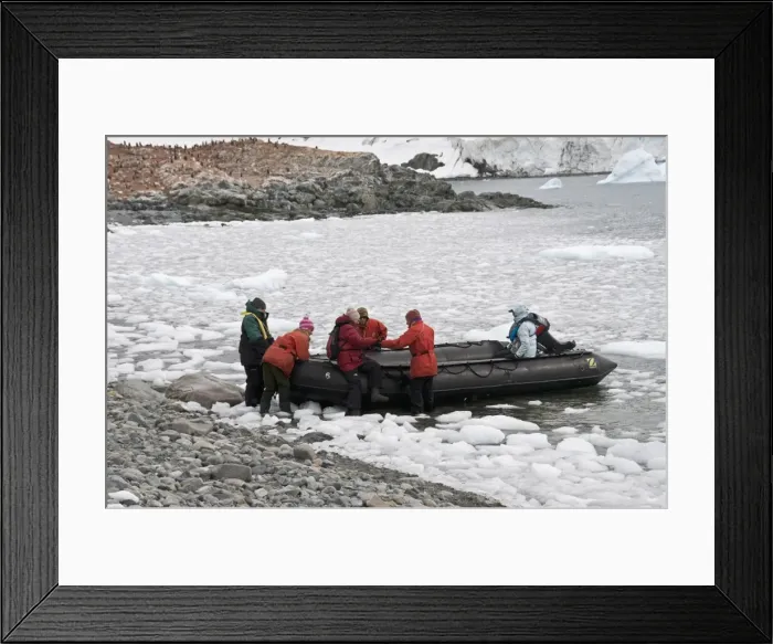Framed Print : Cuverville Island, Antarctic Peninsula, Antarctica, Polar Regions Framed Print : Cuverville Island, Antarctic Peninsula, Antarctica, Polar Regions