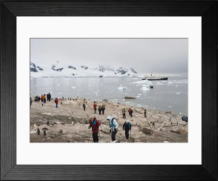 Framed Print : Tourists and gentoo penguins, Neko Harbour, Antarctic Peninsula, Antarctica Framed Print : Tourists and gentoo penguins, Neko Harbour, Antarctic Peninsula, Antarctica