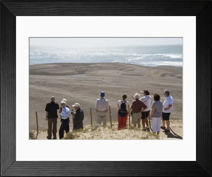 Framed Print : Valdes Peninsula, Patagonia, Argentina, South America Framed Print : Valdes Peninsula, Patagonia, Argentina, South America