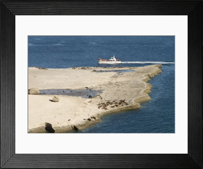 Framed Print : Sea lions and boat, Valdes Peninsula, Argentina, South America Framed Print : Sea lions and boat, Valdes Peninsula, Argentina, South America