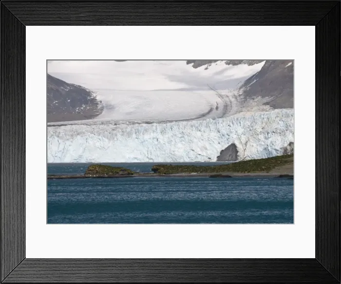 Framed Print : Glacier near Moltke Harbour, Royal Bay, South Georgia, South Atlantic Framed Print : Glacier near Moltke Harbour, Royal Bay, South Georgia, South Atlantic