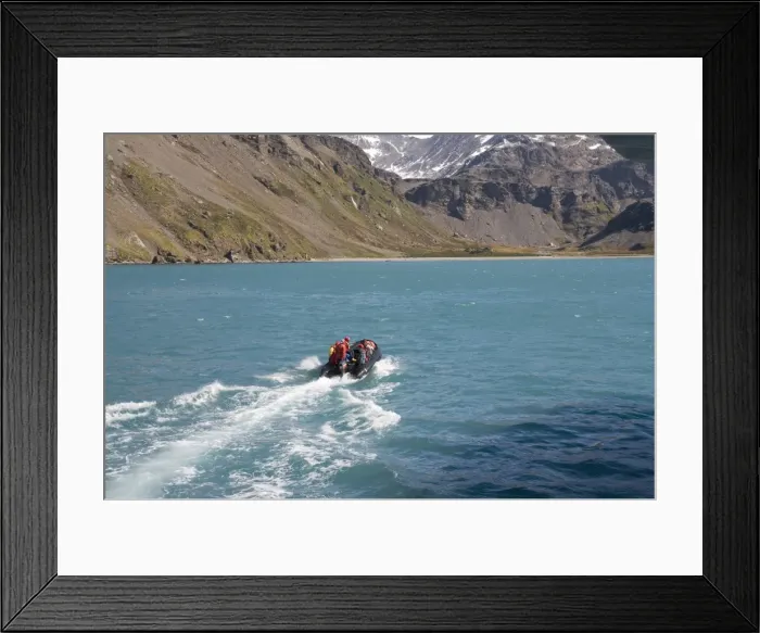 Framed Print : Moltke Harbour, Royal Bay, South Georgia, South Atlantic Framed Print : Moltke Harbour, Royal Bay, South Georgia, South Atlantic