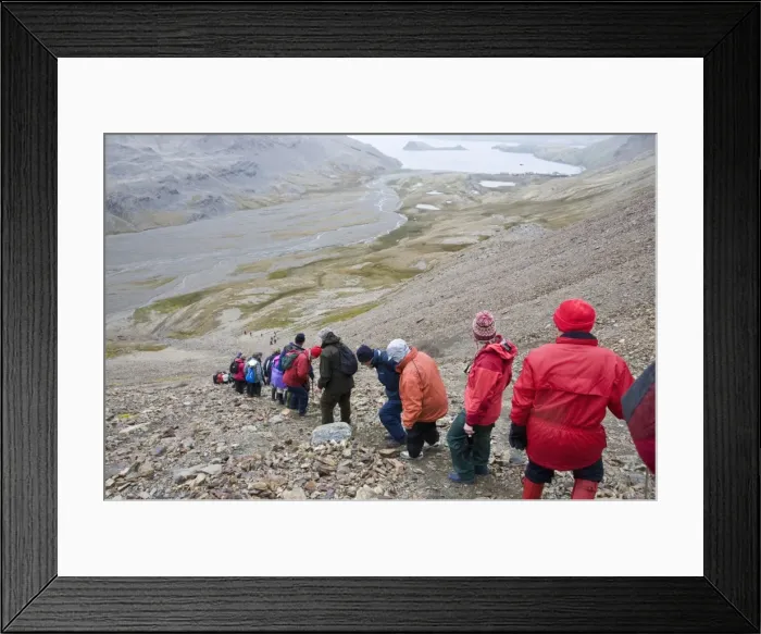 Framed Print : Walking toward Stromness Bay, South Georgia, South Atlantic Framed Print : Walking toward Stromness Bay, South Georgia, South Atlantic