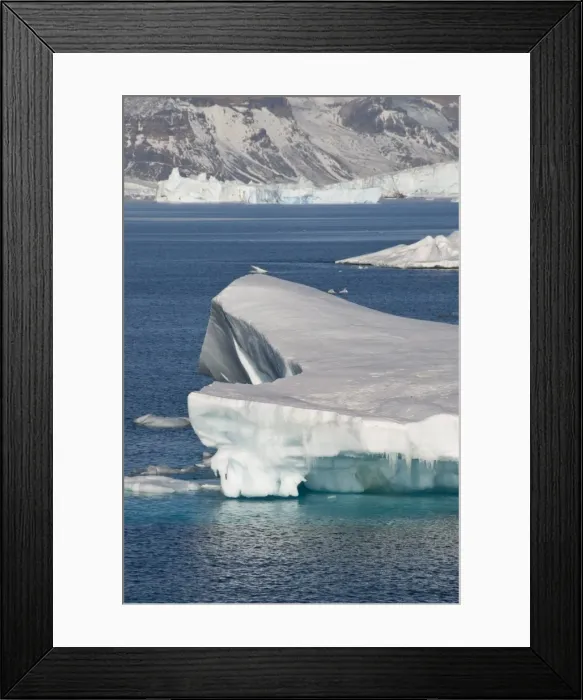 Framed Print : Ice in the Antarctic Sound, Antarctic Peninsula, Antarctica, Polar Regions Framed Print : Ice in the Antarctic Sound, Antarctic Peninsula, Antarctica, Polar Regions