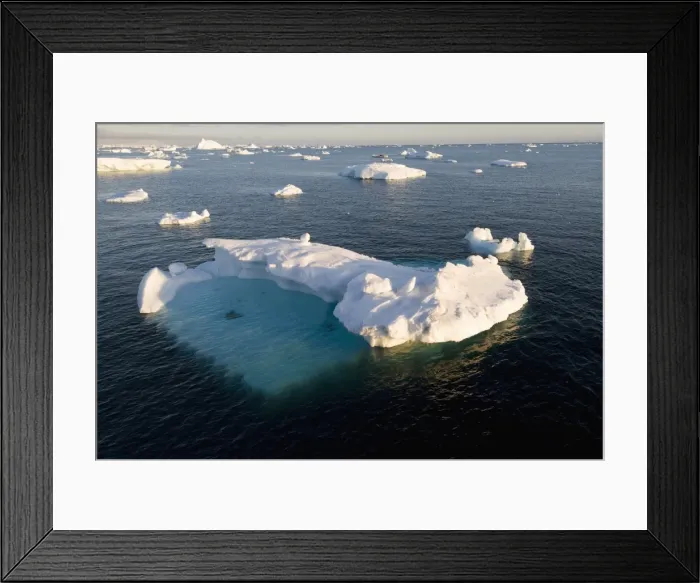 Framed Print : Ice in the Antarctic Sound, The Antarctic Peninsula, Antarctica, Polar Regions Framed Print : Ice in the Antarctic Sound, The Antarctic Peninsula, Antarctica, Polar Regions