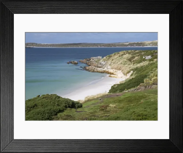 Framed Print : Gypsy Cove, Yorke Bay, Port Stanley, Falkland Islands, South America Framed Print : Gypsy Cove, Yorke Bay, Port Stanley, Falkland Islands, South America