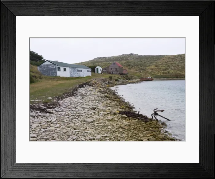 Framed Print : West Point Island, Falkland Islands, South America Framed Print : West Point Island, Falkland Islands, South America
